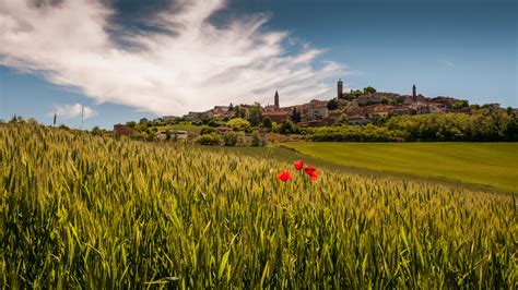 Trens de Casale Monferrato para Asti